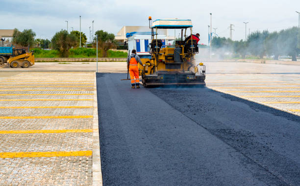 Best Local Driveway Pavers  in Amsterdam, NY